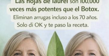 651164840 1315175067299520 1386085972118699944 n