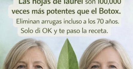 651164840 1315175067299520 1386085972118699944 n