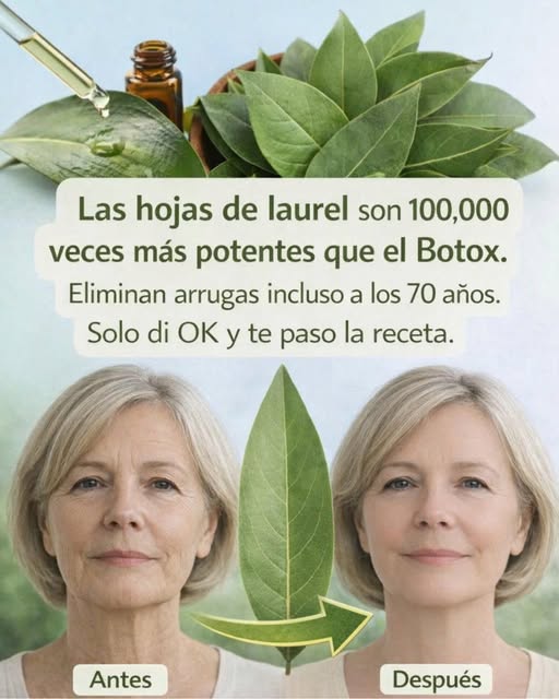 651164840 1315175067299520 1386085972118699944 n