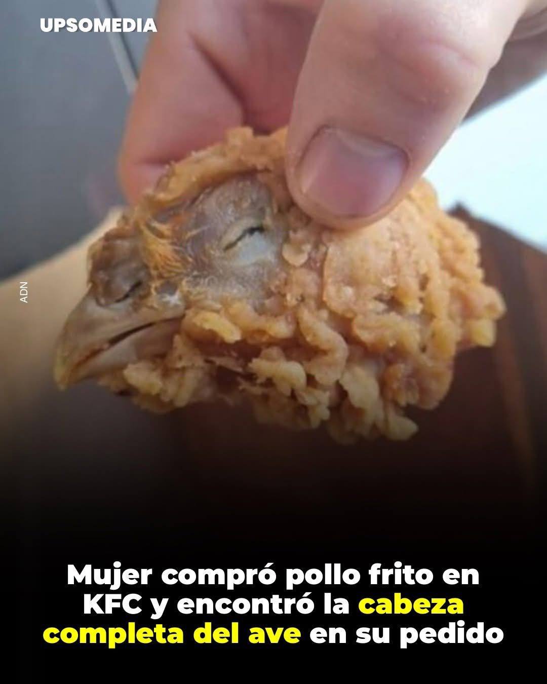 651188142 122206410896351988 7593389700070844783 n