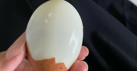 651713861 951118604159098 3849713994508436359 n