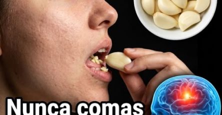 652471946 122159016014943773 884036996682494043 n