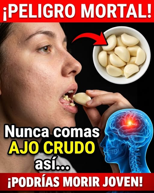 652471946 122159016014943773 884036996682494043 n