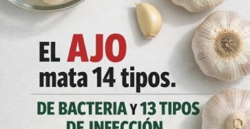 652536929 1315420563941637 4698278943374983455 n