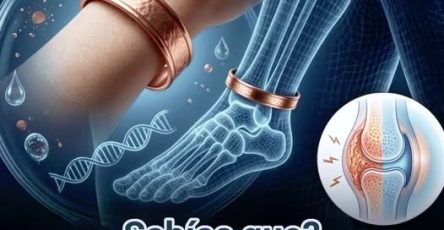 652657114 1498229618980381 4407152071328066965 n