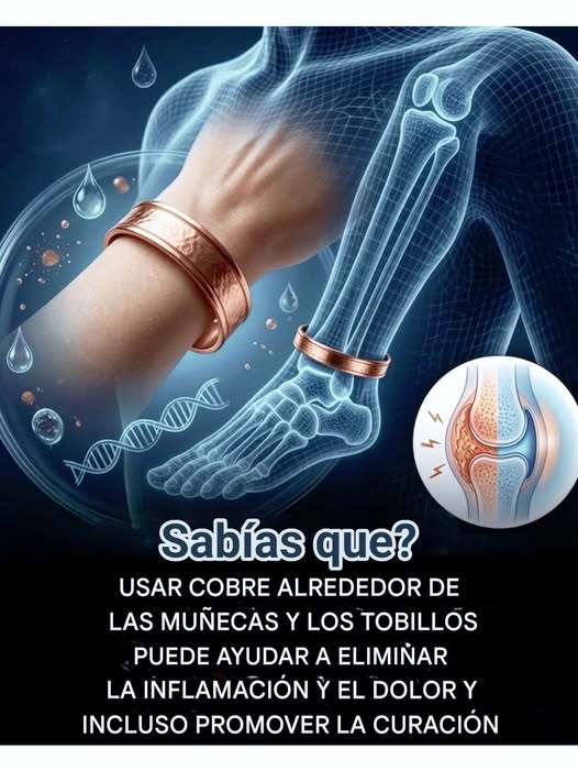 652657114 1498229618980381 4407152071328066965 n