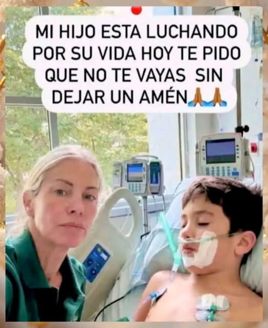 652981240 122107076877266617 6330471142860401265 n