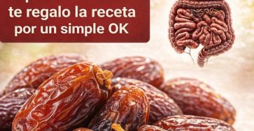 653062796 959245510094636 892143655551241785 n