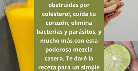 653076870 1567903404864939 5691512401641985259 n