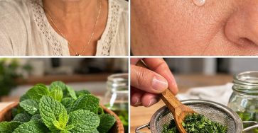 653702493 941962385457469 6437204015399630258 n