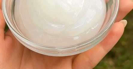 653705016 931147349324433 7607223079989033018 n