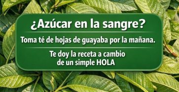 653916788 1568473488141264 6705848964102737537 n