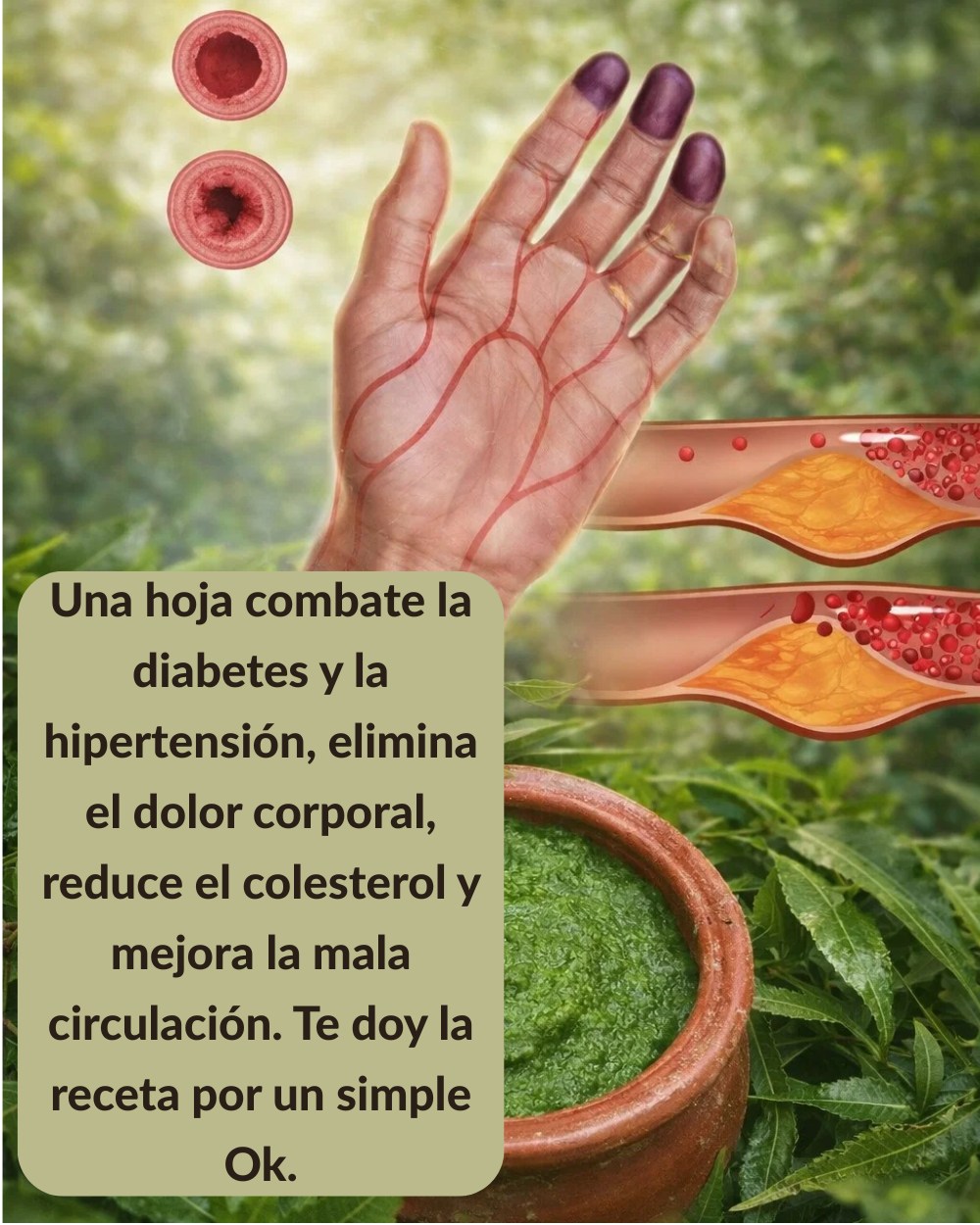 654246502 1567343588254254 928402909319583987 n