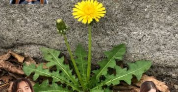 654564691 122150467994971843 8456574275123006056 n