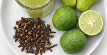 656731416 866018336454837 5653862996326217656 n