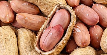 657355332 934741088924702 5133846635446020011 n