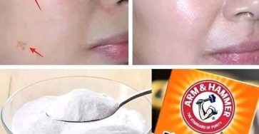 7028b2b7 e764 46e5 a3d7 95dce6d6e869