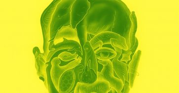 71d1b438 ec07 44bf ac78 314da3b8032f