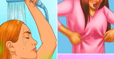 7cba1d7e 1d9d 4336 85b9 d4092b6ce094