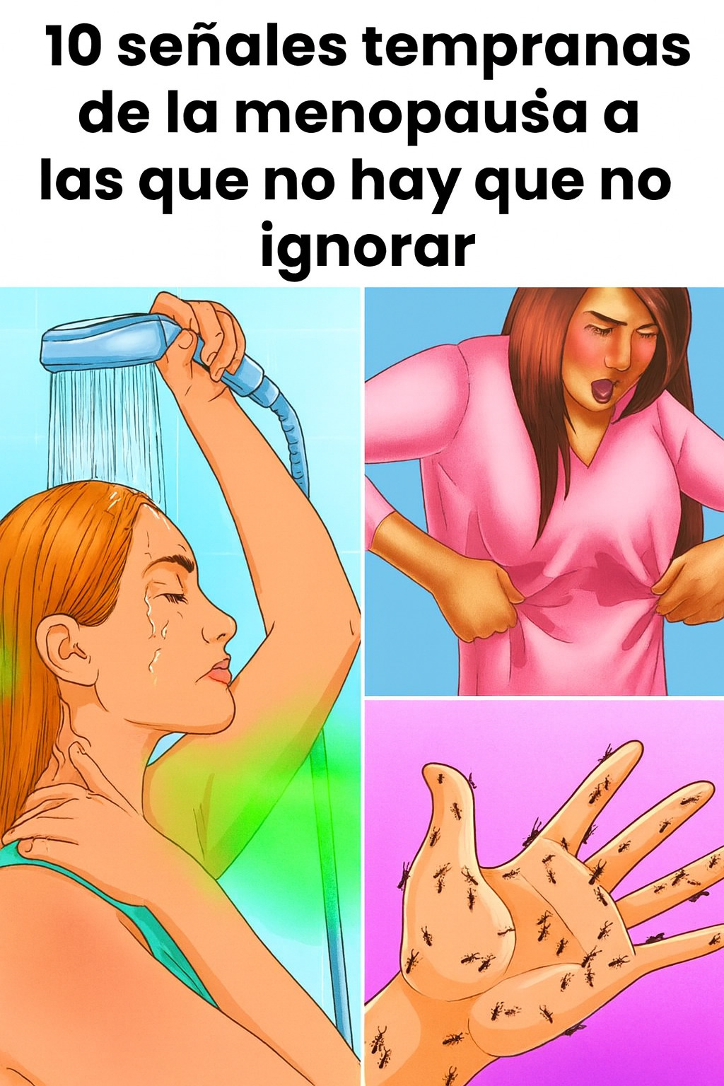 7cba1d7e 1d9d 4336 85b9 d4092b6ce094