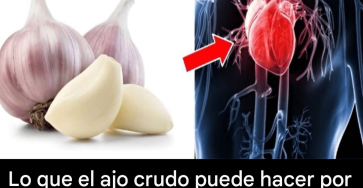 878cc7aa 3e95 41dc b30d 800580c0e077