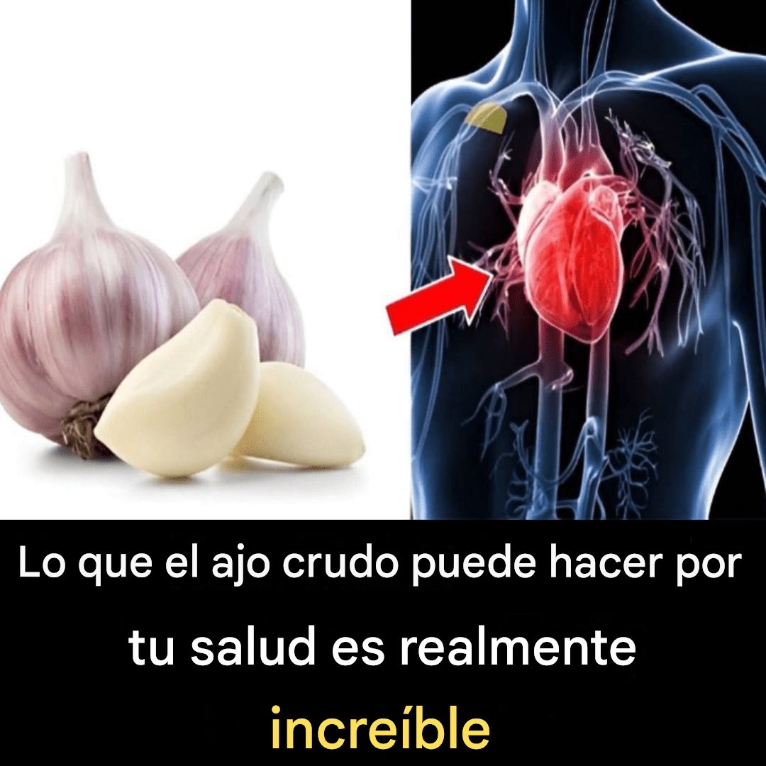 878cc7aa 3e95 41dc b30d 800580c0e077