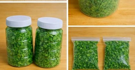 8d1cda87 6793 4a33 bd4e aa8029ec6cd3