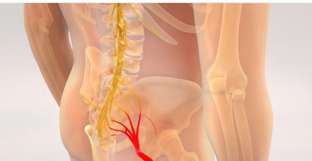 90ffb7a7 0537 4509 9513 75a7593221ae