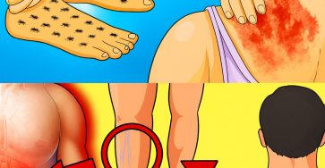 9530999d f23e 44ca 89aa 143a3d231900