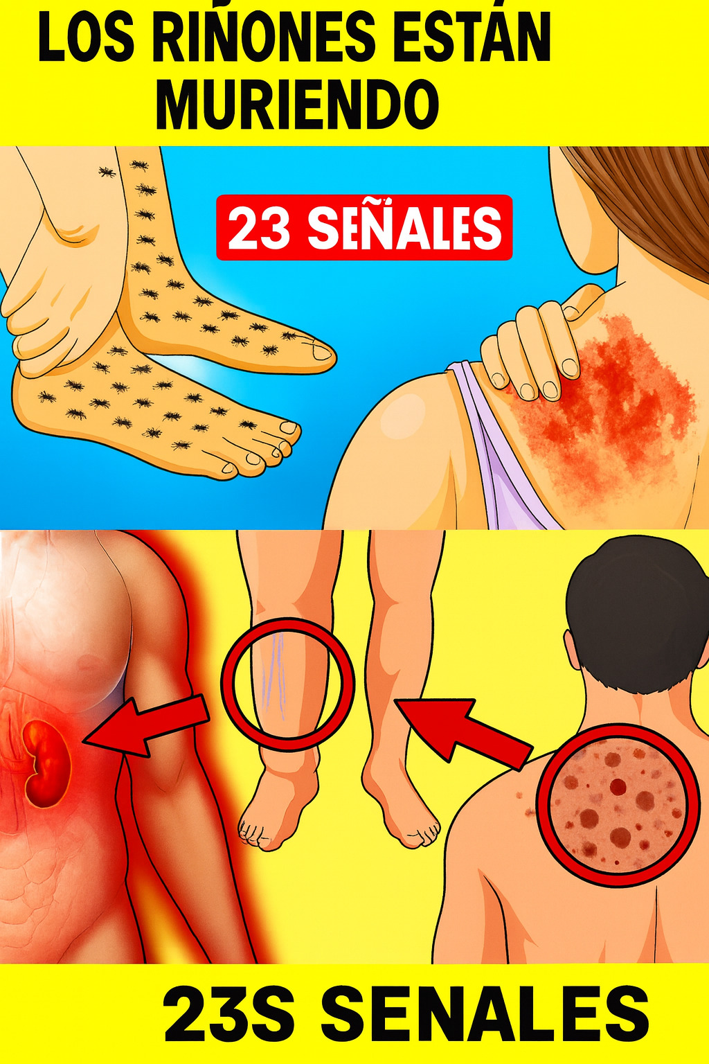 9530999d f23e 44ca 89aa 143a3d231900