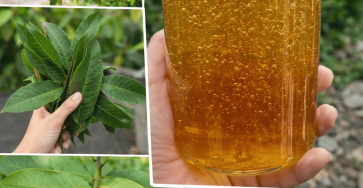 ChatGPT Image 07 46 09 11 thg 3