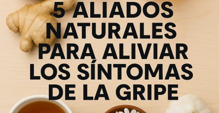 ChatGPT Image 14 jul 2025 05 07 51 p.m