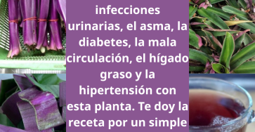 Them tieu de 2026 03 18T213242.942