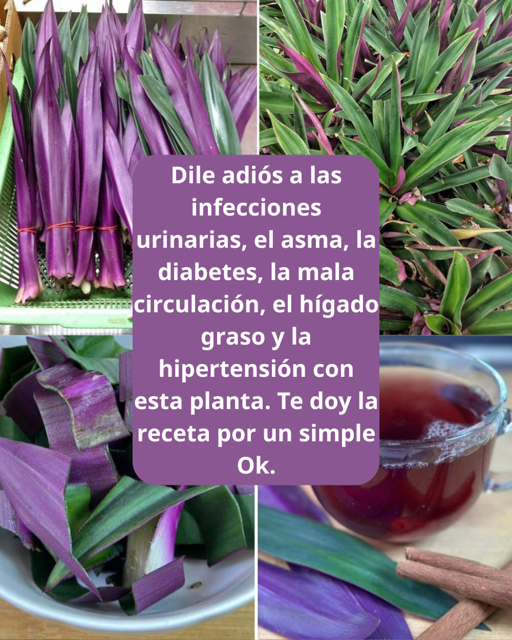 Them tieu de 2026 03 18T213242.942