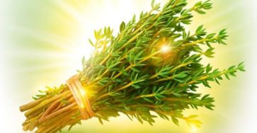 WhatsApp Image 2025 09 20 at 19.10.35