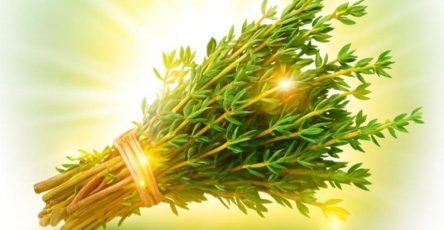 WhatsApp Image 2025 09 20 at 19.10.35