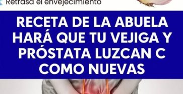 WhatsApp Image 2025 10 07 at 00.03.49