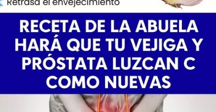 WhatsApp Image 2025 10 07 at 00.03.49