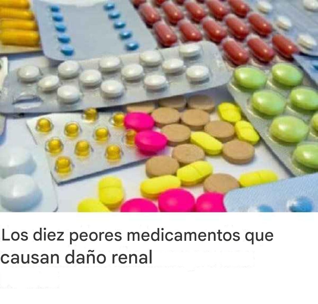 WhatsApp Image 2025 11 07 at 00.44.41