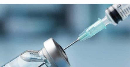 WhatsApp Image 2025 11 09 at 10.10.19