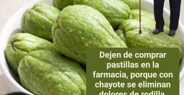 WhatsApp Image 2026 01 19 at 06.16.45