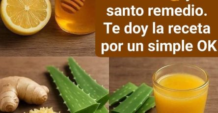 WhatsApp Image 2026 01 19 at 21.13.08