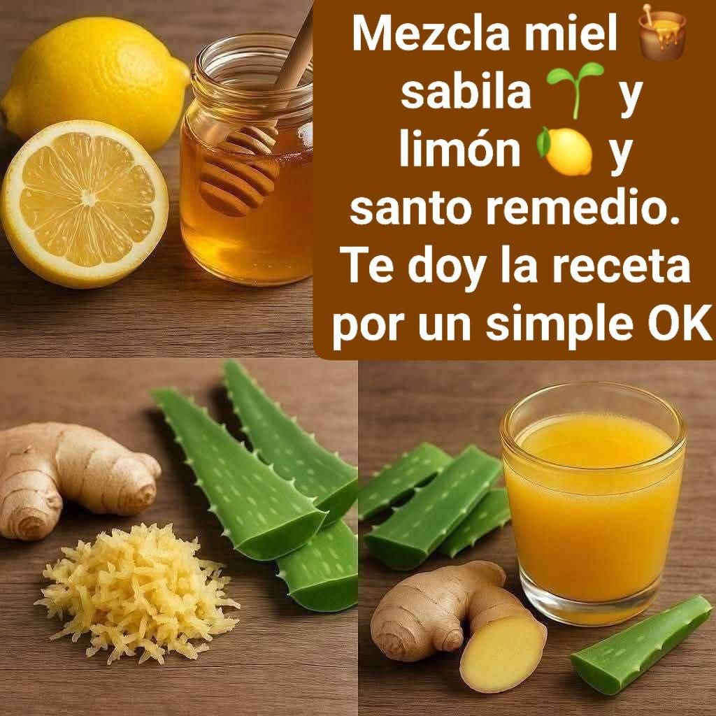 WhatsApp Image 2026 01 19 at 21.13.08