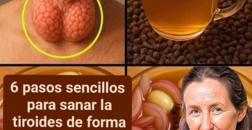 WhatsApp Image 2026 01 21 at 20.14.15