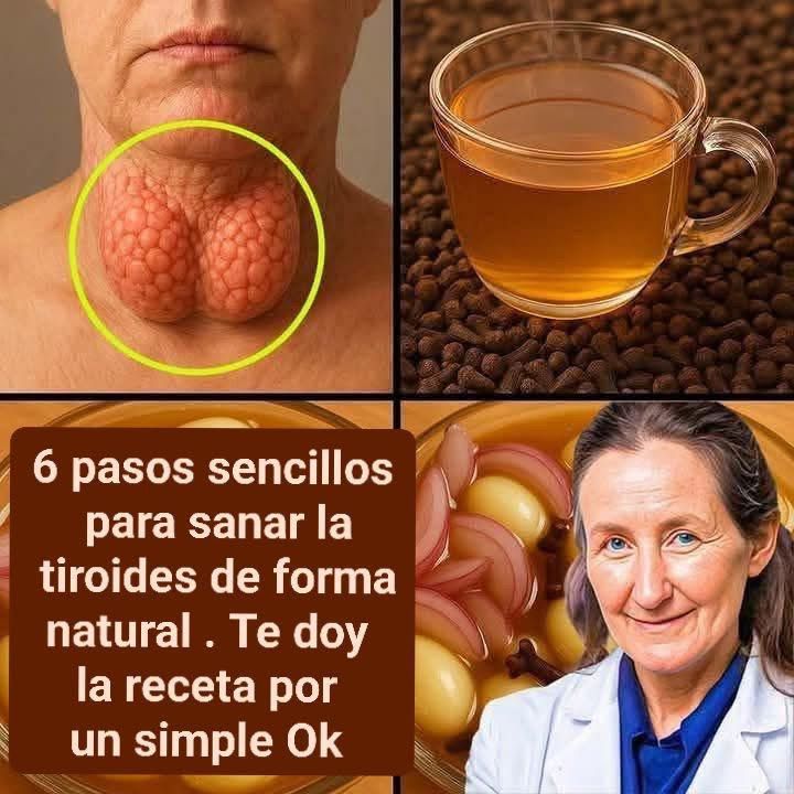 WhatsApp Image 2026 01 21 at 20.14.15