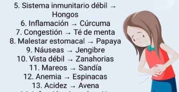 WhatsApp Image 2026 01 28 at 02.36.44