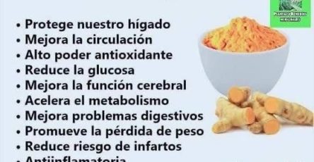 WhatsApp Image 2026 01 30 at 14.28.48