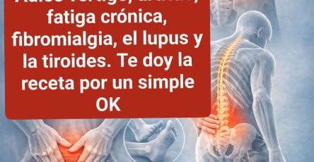 WhatsApp Image 2026 01 31 at 03.14.27