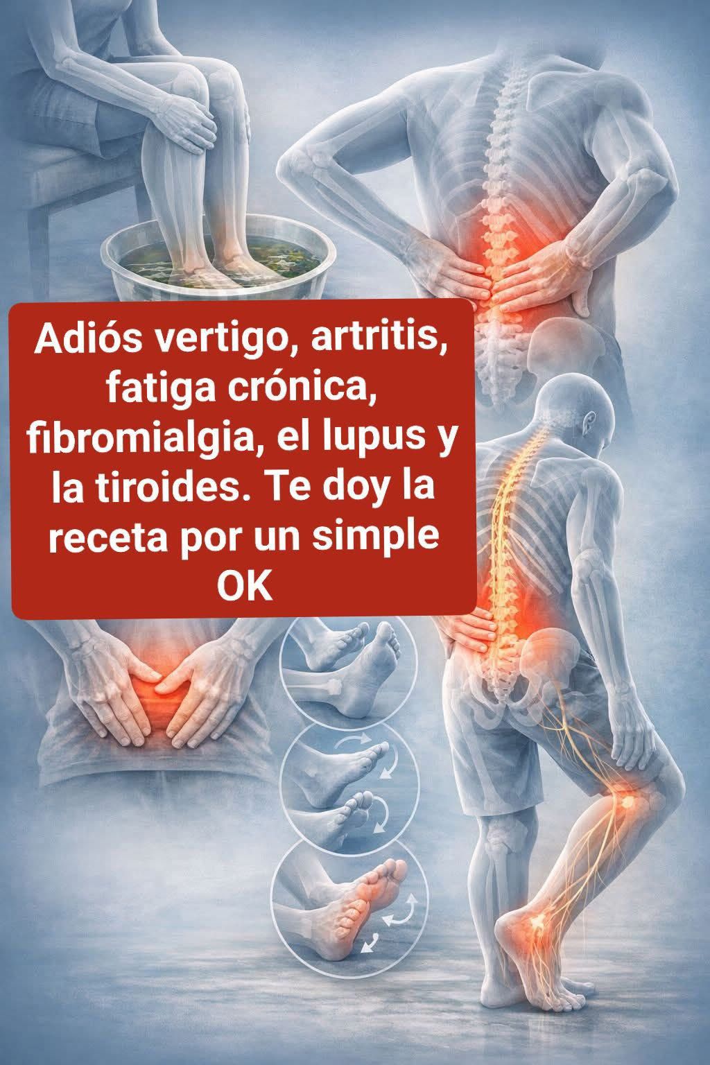 WhatsApp Image 2026 01 31 at 03.14.27