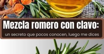 WhatsApp Image 2026 02 04 at 01.11.16